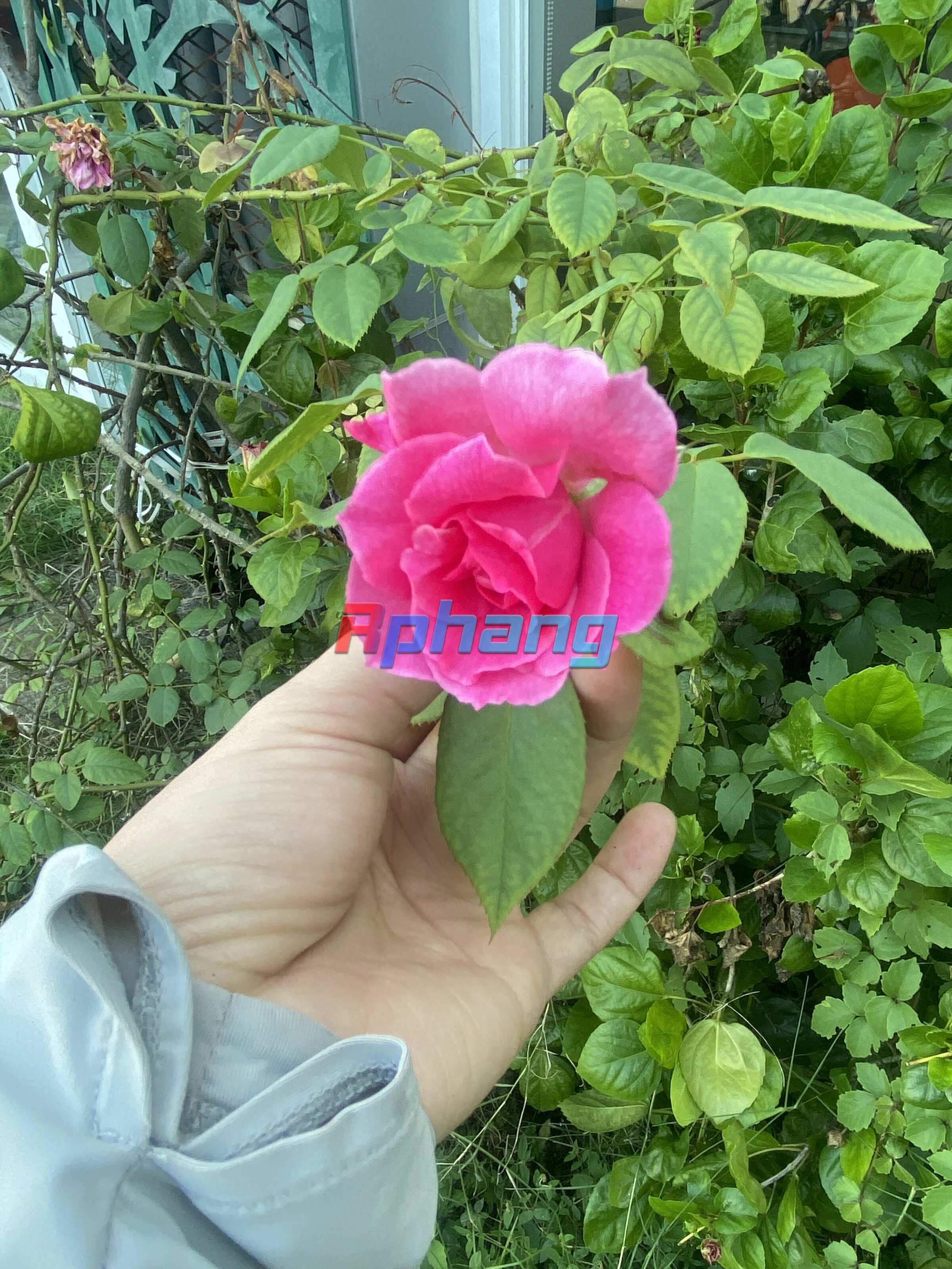 IMG_1503.jpeg